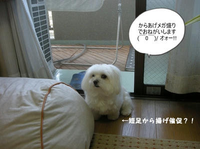 DSCN0850.jpg