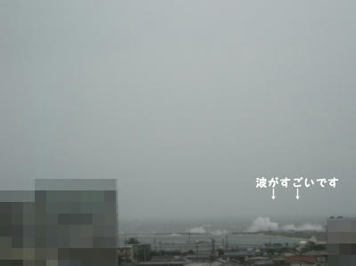 DSCN0861.jpg