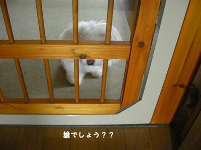 DSCN0741.jpg