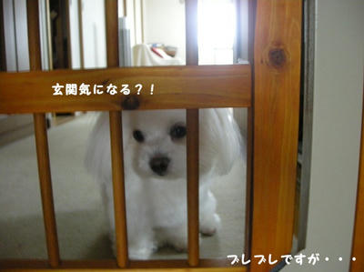 DSCN0742.jpg
