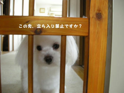 DSCN0743.jpg