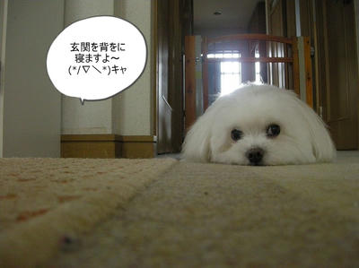DSCN0780.jpg
