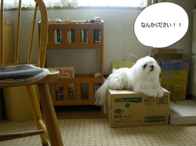 DSCN0994.jpg