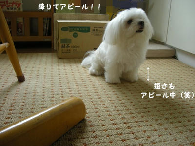 DSCN0998.jpg