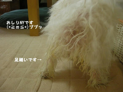 DSCN1031.jpg