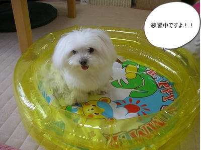 DSCN1034.jpg