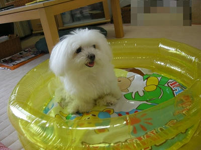 DSCN1036.jpg