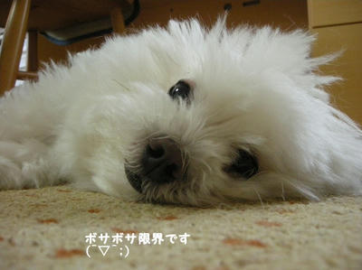 DSCN1043.jpg