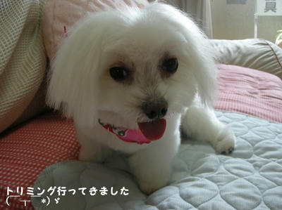 DSCN1056.jpg