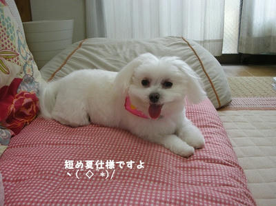 DSCN1064.jpg