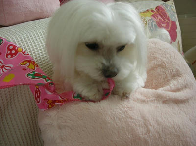 DSCN1078.jpg