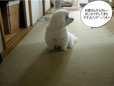 DSCN1098.jpg