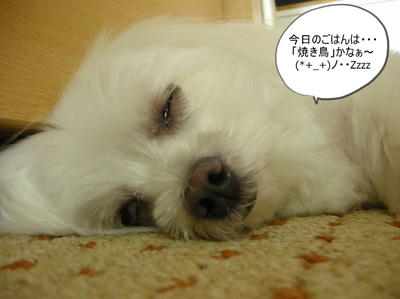 DSCN1096.jpg