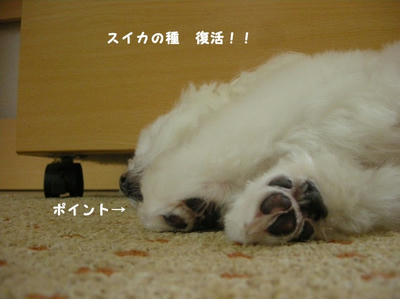 DSCN1094.jpg