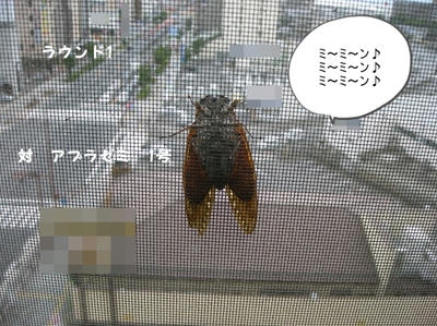 DSCN1117.jpg