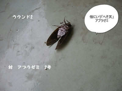 DSCN1126.jpg