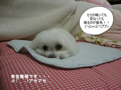 DSCN1102.jpg