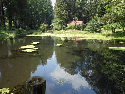 DSCN0008.jpg