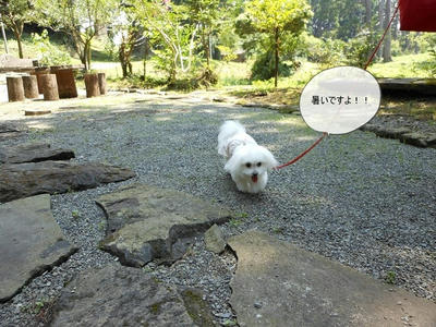 DSCN0014.jpg