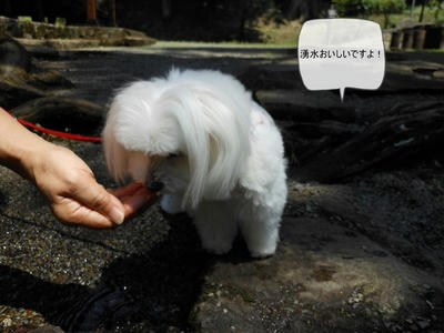 DSCN0022.jpg