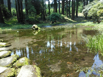 DSCN0025.jpg
