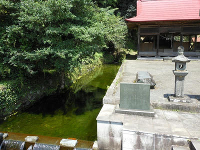 DSCN0031.jpg