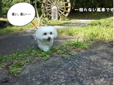 DSCN0045.jpg
