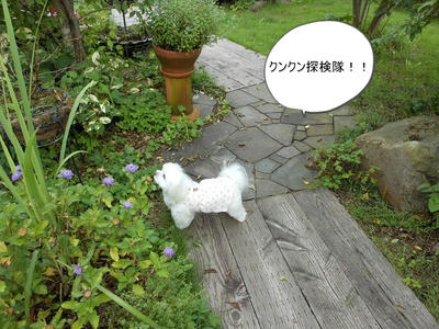 DSCN0049.jpg