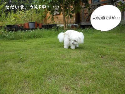 DSCN0066.jpg