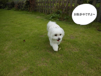 DSCN0070.jpg