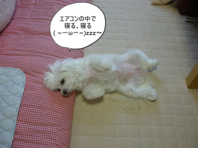 DSCN1137.jpg