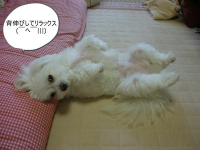 DSCN1138.jpg