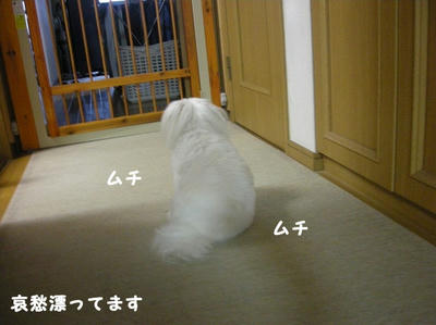 DSCN1200.jpg