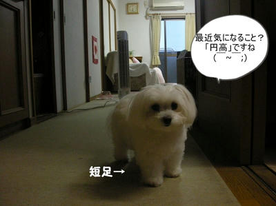 DSCN1205.jpg