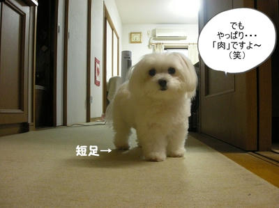 DSCN1208.jpg