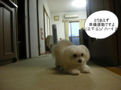 DSCN1209.jpg