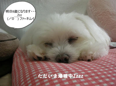 DSCN1223.jpg