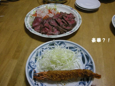 DSCN1271.jpg