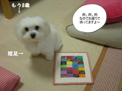 DSCN1275.jpg