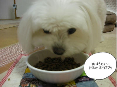 DSCN1284.jpg