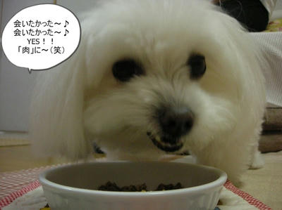 DSCN1285.jpg