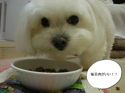 DSCN1286.jpg
