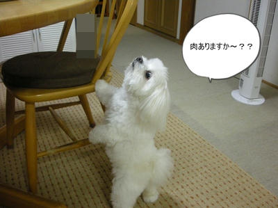 DSCN1288.jpg