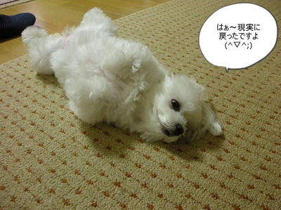 DSCN1291.jpg