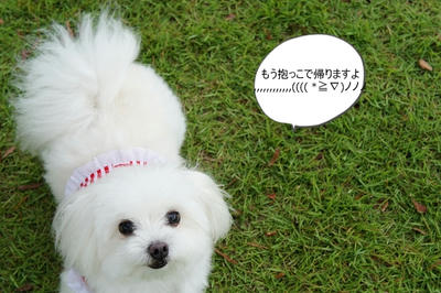 DSC00872.jpg