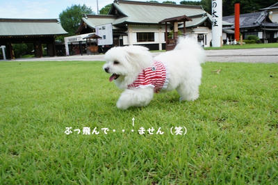 DSC00928.jpg