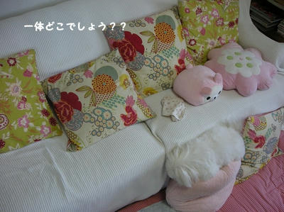 DSCN1343.jpg