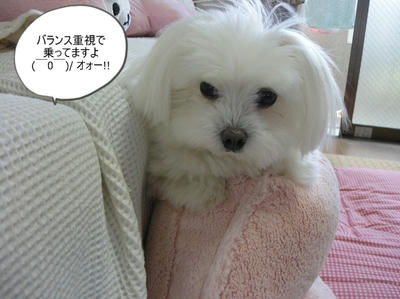 DSCN1347.jpg