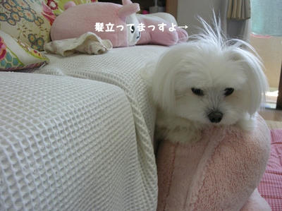 DSCN1349.jpg