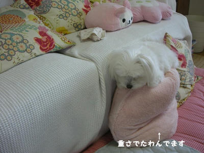 DSCN1350.jpg